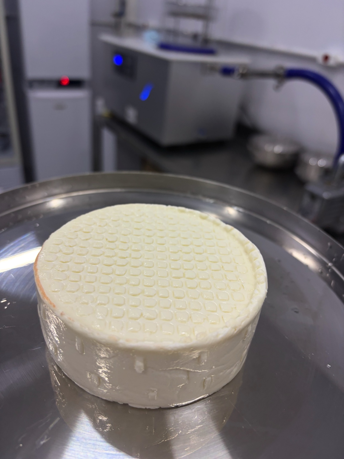 Queijo fresco recém-produzido
